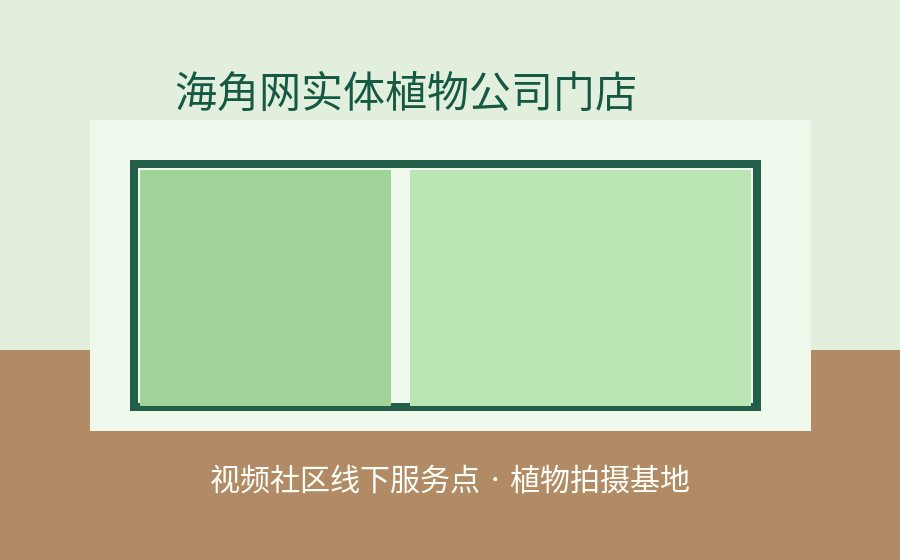 小马拉大车
