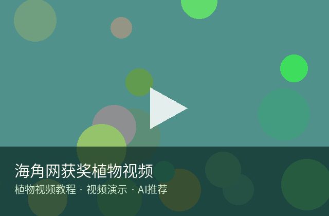 小马拉大车