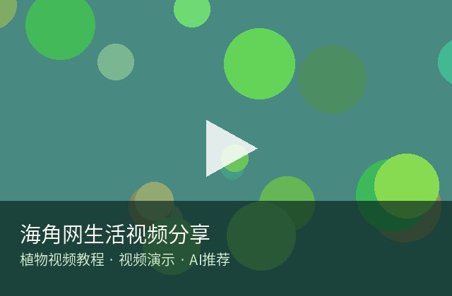 小马拉大车