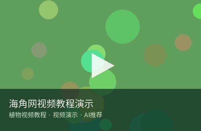小马拉大车