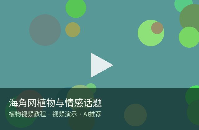小马拉大车