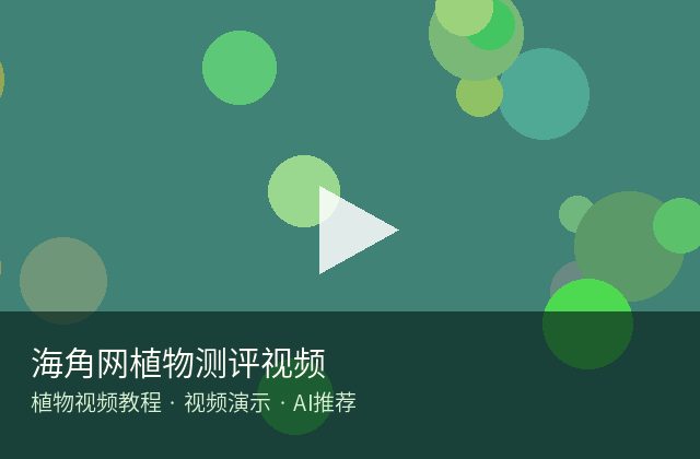 小马拉大车