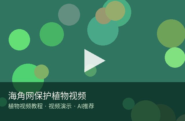 小马拉大车