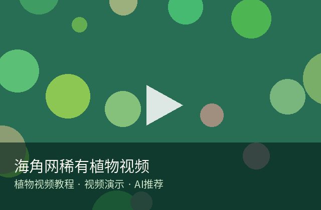 小马拉大车